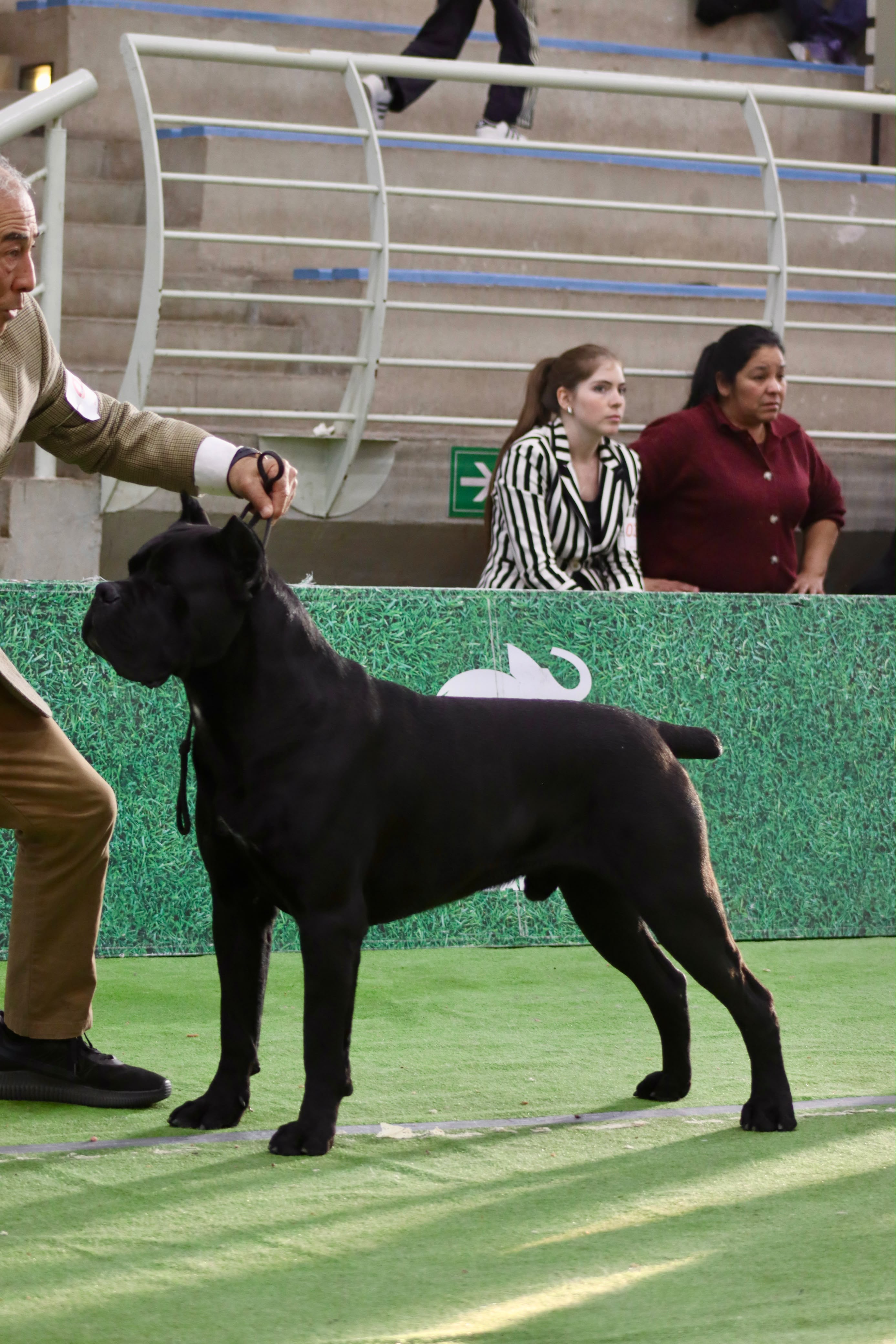 Benito